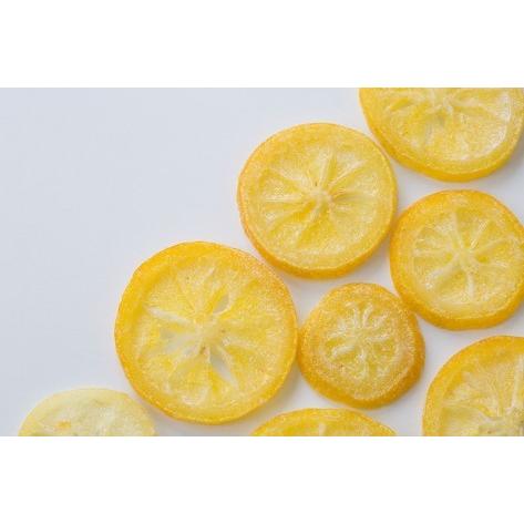 倉 国産ドライレモン 輪切り 1g 60gパックが2袋入り 送料無料 半生タイプ 国レモン60g 2p ドライレモン ドライフルーツ 国産レモン 国産 チャック袋 Aynaelda Com