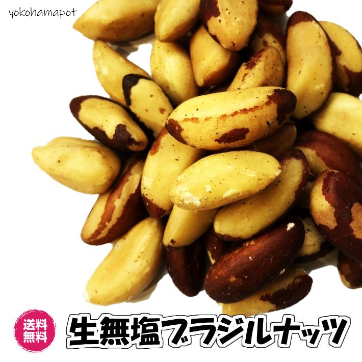生無塩ブラジルナッツ ブラジル産 140g 70gパックが2袋入り 食品添加物一切不使用 ナッツ 送料無料 ブラジルナッツ70g 2p 生 無塩 無添加 お試しパック 560 横浜ポット 通販 Yahoo ショッピング