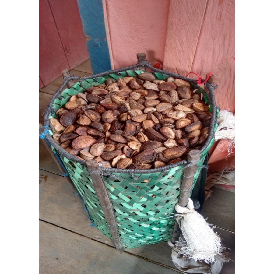 生無塩ブラジルナッツ ブラジル産 140g 70gパックが2袋入り 食品添加物一切不使用 ナッツ 送料無料 ブラジルナッツ70g 2p 生 無塩 無添加 お試しパック 560 横浜ポット 通販 Yahoo ショッピング