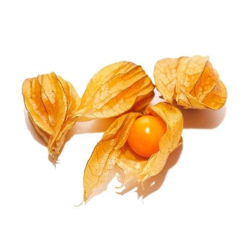 無添加インカベリー 10kg／5kgパックが2袋入（インカベリー5kg×2P