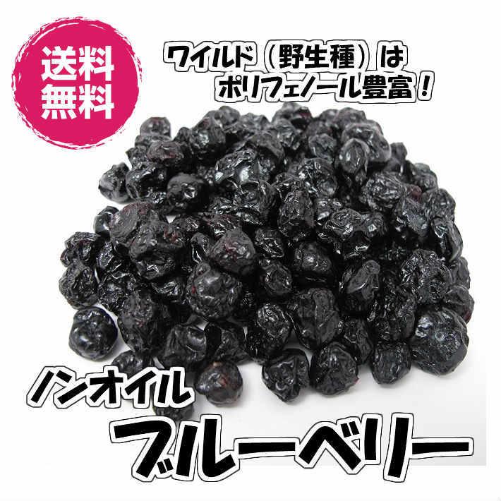 ノンオイル ブルーベリー アメリカ産 560ｇ 280gパックが2袋入り 野生種 ドライフルーツ 送料