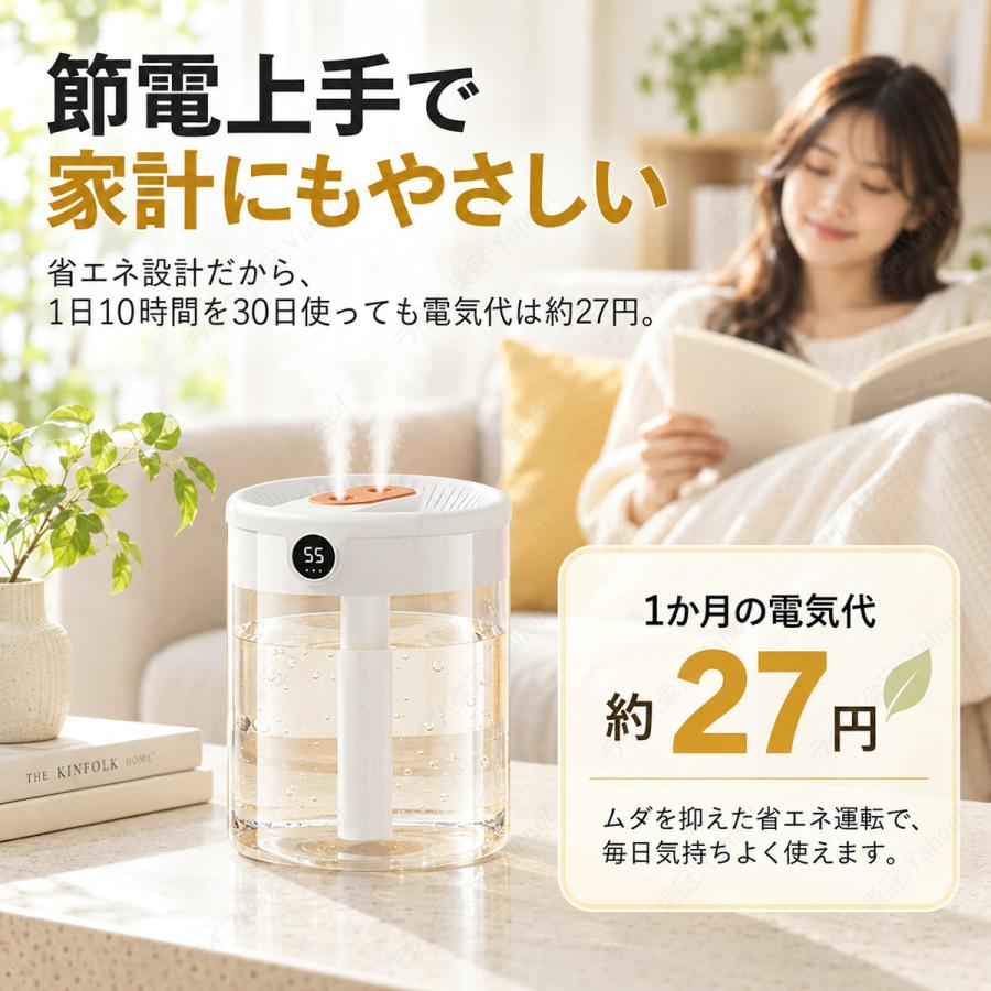 加湿器 卓上 超音波式 大容量 上部給水 省エネ 卓上加湿器 静音 除菌