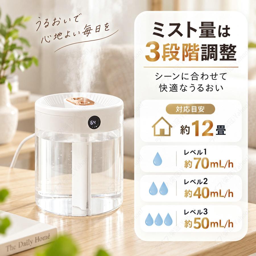 加湿器 卓上 超音波式 大容量 上部給水 省エネ 卓上加湿器 静音 除菌