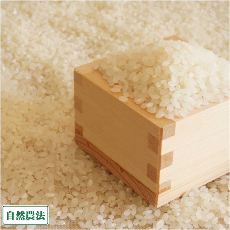 【令和4年度産売り尽くしセール!】 つがるロマン 精米 30kg 自然農法 (青森県 阿部農園) 産地直送