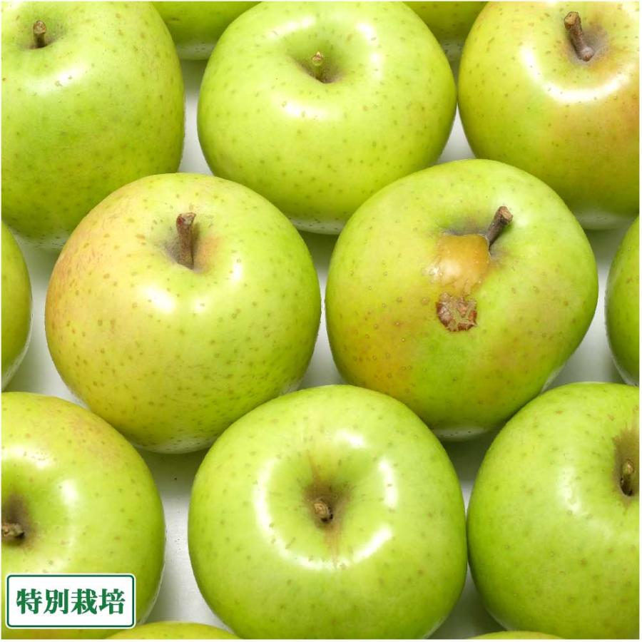 ふるさと21yahoo店 りんご 王林 10kg箱 産地直送 阿部農園 青森県 特別栽培