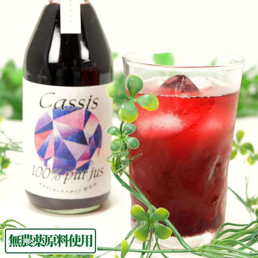 売れ筋 カシス果汁100 ストレートジュース 250ml 2本 無農薬原料 無添加 青森県 あおもりカシススタイル研究所 産地直送 Aocassis Cassis Juice2p ふるさと21yahoo店 通販 Yahoo ショッピング 限定製作 Test Asap Advice Com Au