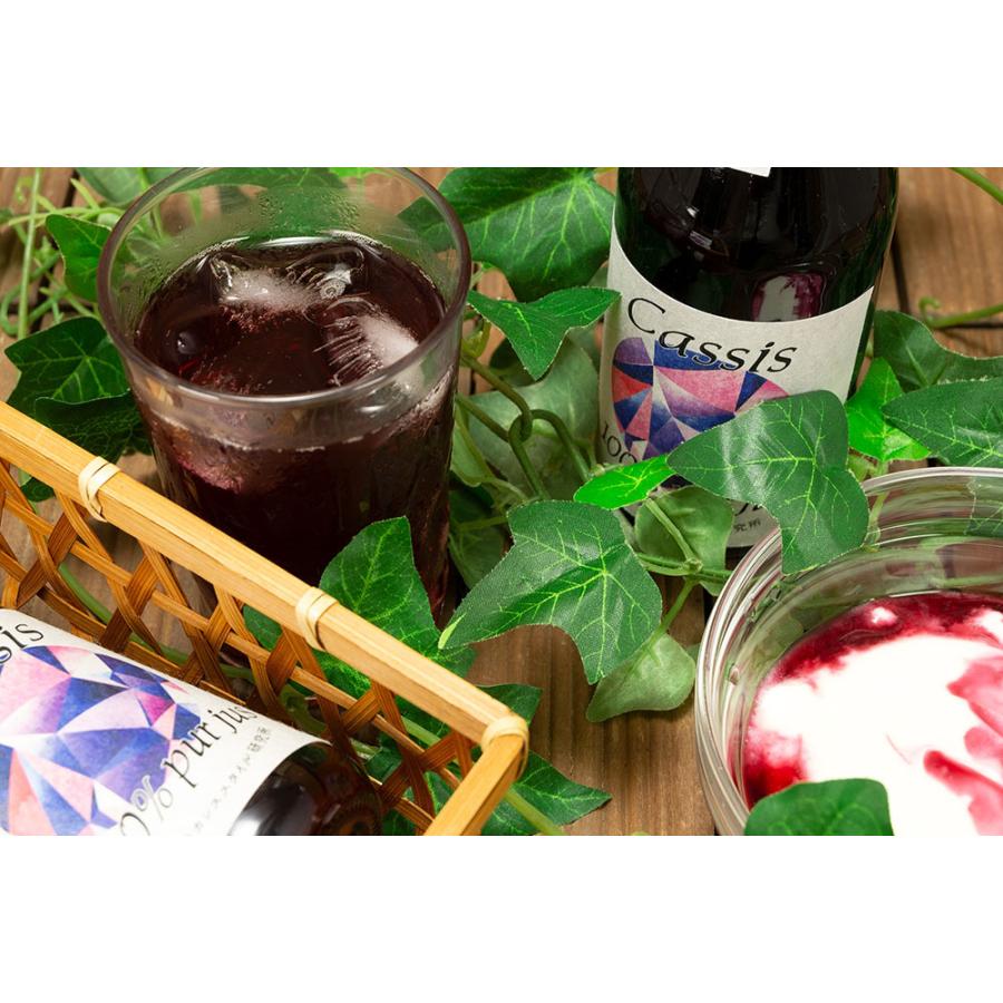 売れ筋 カシス果汁100 ストレートジュース 250ml 2本 無農薬原料 無添加 青森県 あおもりカシススタイル研究所 産地直送 Aocassis Cassis Juice2p ふるさと21yahoo店 通販 Yahoo ショッピング 限定製作 Test Asap Advice Com Au