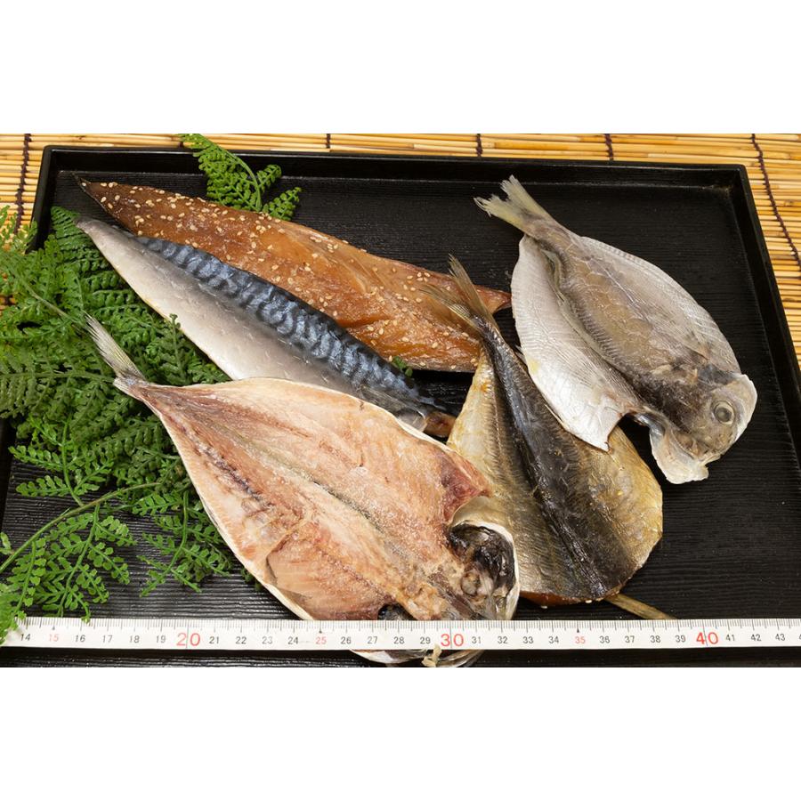 干物セットc 19尾 静岡県熱海 森新ひもの店 天然ひもの 産地直送 Morishin Himono3 ふるさと21yahoo店 通販 Yahoo ショッピング