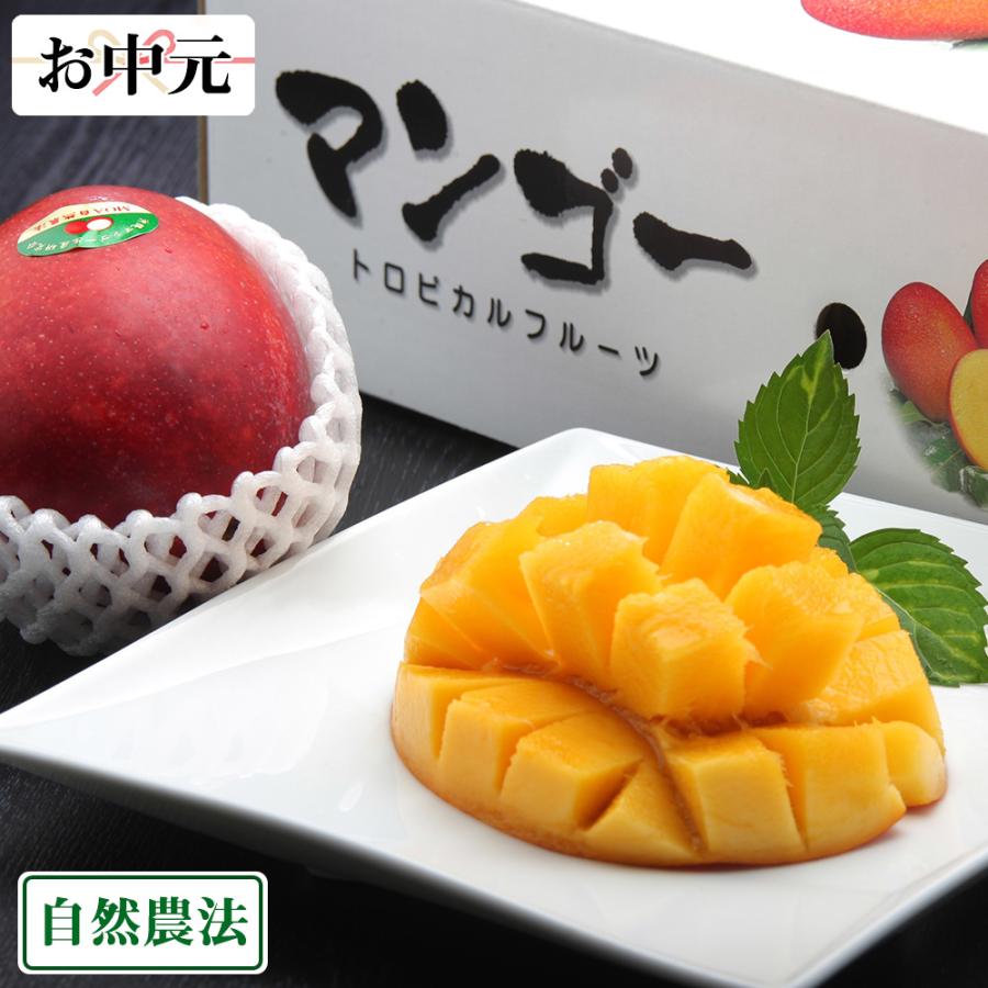 高速配送 お中元専用 アーウィン 秀品2kg 自然農法 沖縄県 沖縄マンゴー生産研究会 産地直送 アップルマンゴー クール冷蔵便 今月限定 特別大特価 Nicmosul Org