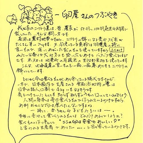 有精卵　40個箱詰め(北海道　卵ラン農場ムラタ)健康有精卵・送料無料・産地直送｜fs21｜03