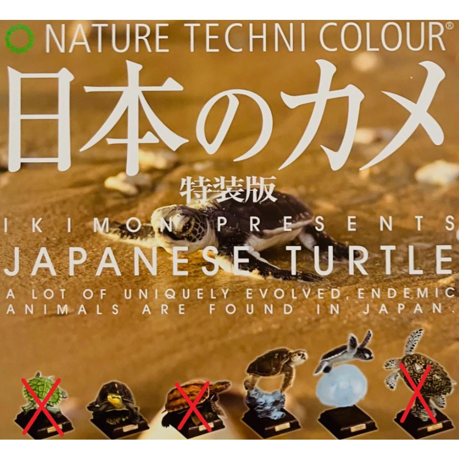 ネイチャーテクニカラー 日本のカメ 特装版 3種セット【在庫品】 : F&S
