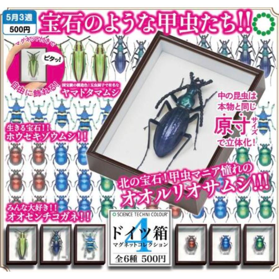 STC ドイツ箱 マグネットコレクション4 全6種セット 【2025年5月
