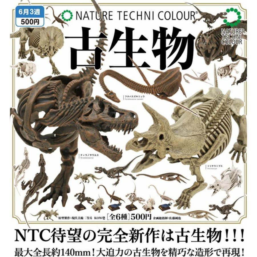 NTC 古生物 全6種セット 【2025年6月予約/コンプリート】 : F&S NTC 古生物 全6種セット 【2025年6月予約/コンプリート】 : F&S