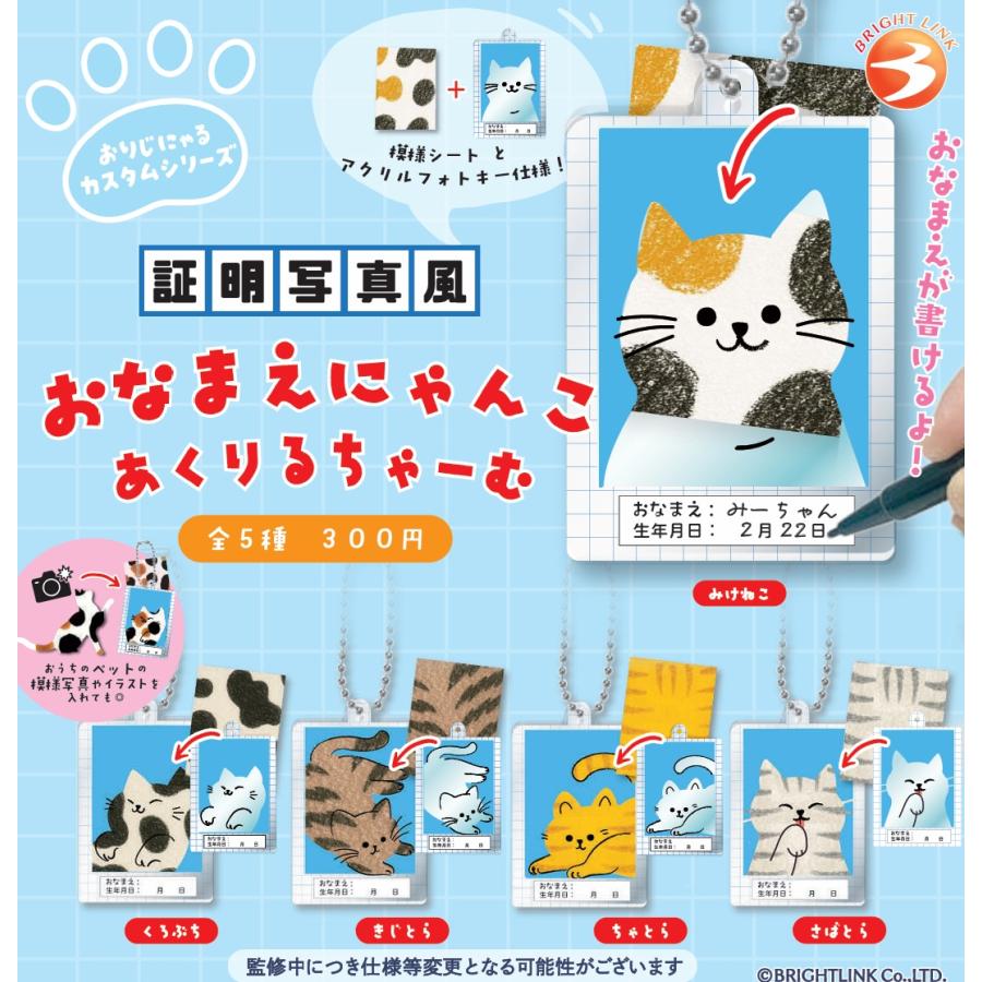 証明写真風おなまえにゃんこ あくりるチャーム 全5種セット 【2025年10