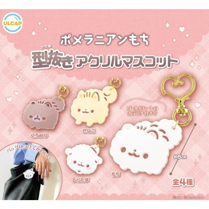 ポメラニアンもち 型抜きアクリルマスコット 全4種セット 【2025年10月