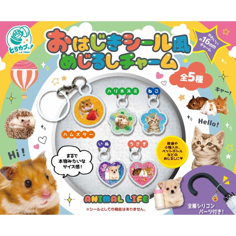 おはじきシール風 めじるしチャーム 全5種セット 【2025年12月予約