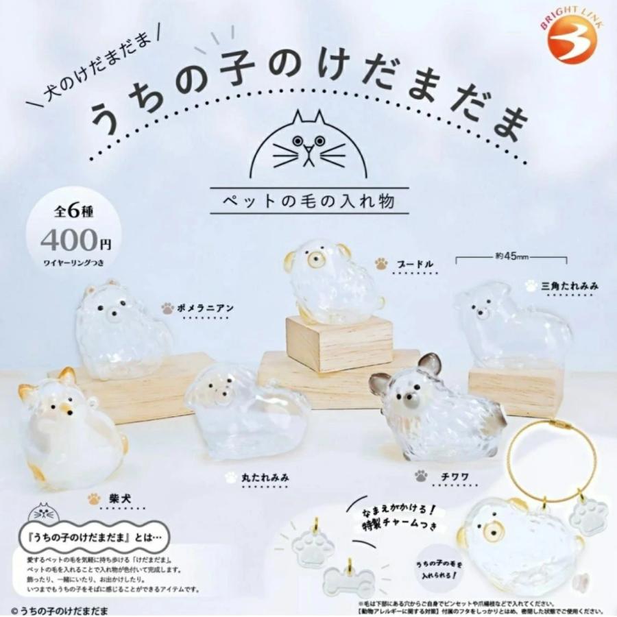単品 うちの子のけだまだま 犬のけだまだま【在庫品】 : F&S - 通販