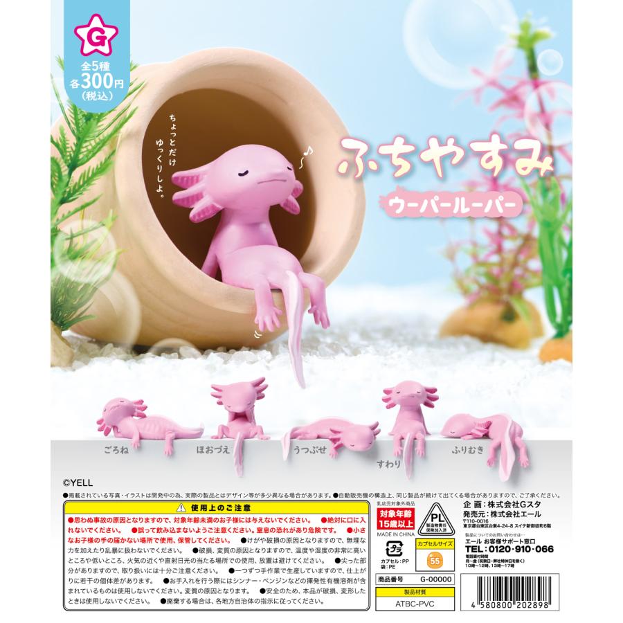 ふちやすみ ウーパールーパー 全5種セット 【2026年7月予約