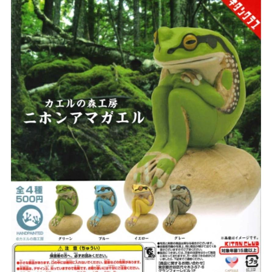 7月再販） カエルの森工房 ニホンアマガエル 全4種セット 【2026年7月
