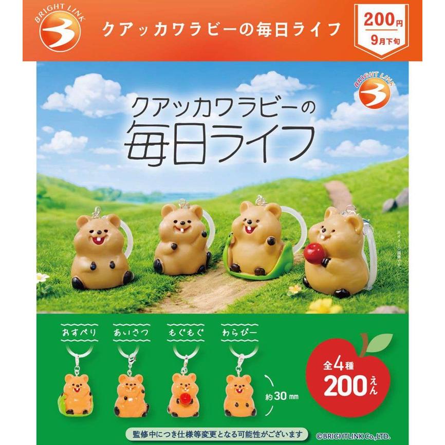 クアッカワラビー様　お見積もりページ クアッカワラビーの毎日ライフ 全4種セット 【2026年9月予約
