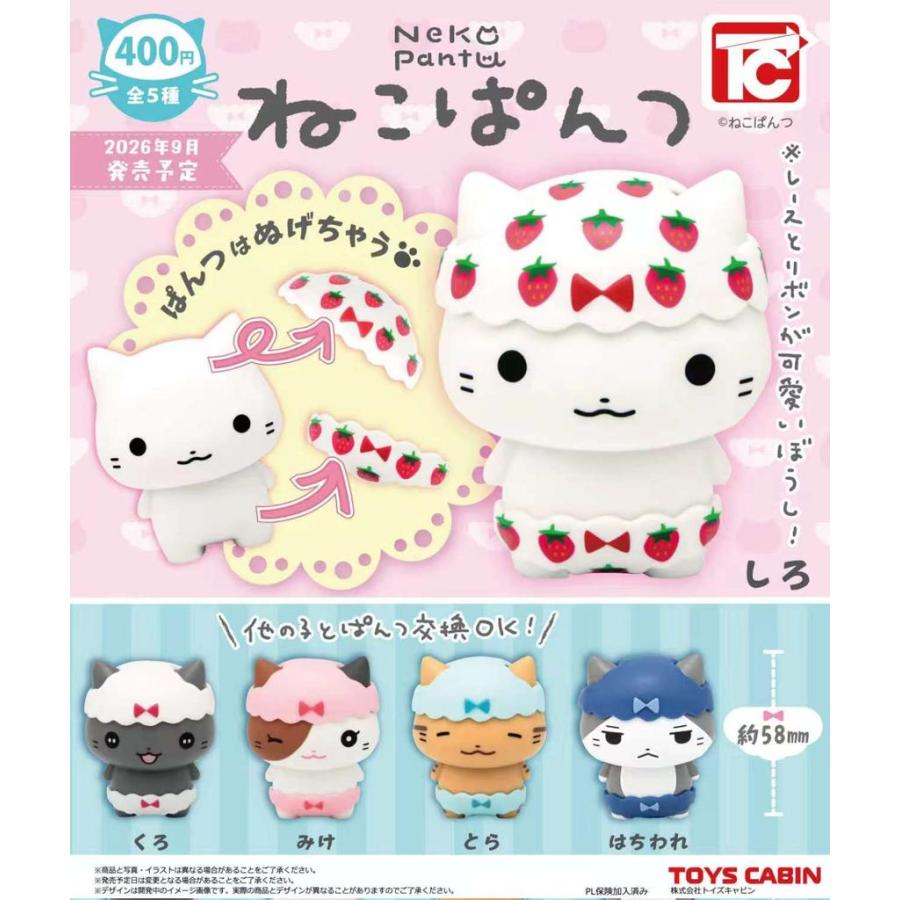 ねこぱんつ 全5種セット 【2026年9月予約/コンプリート】 : F&S - 通販