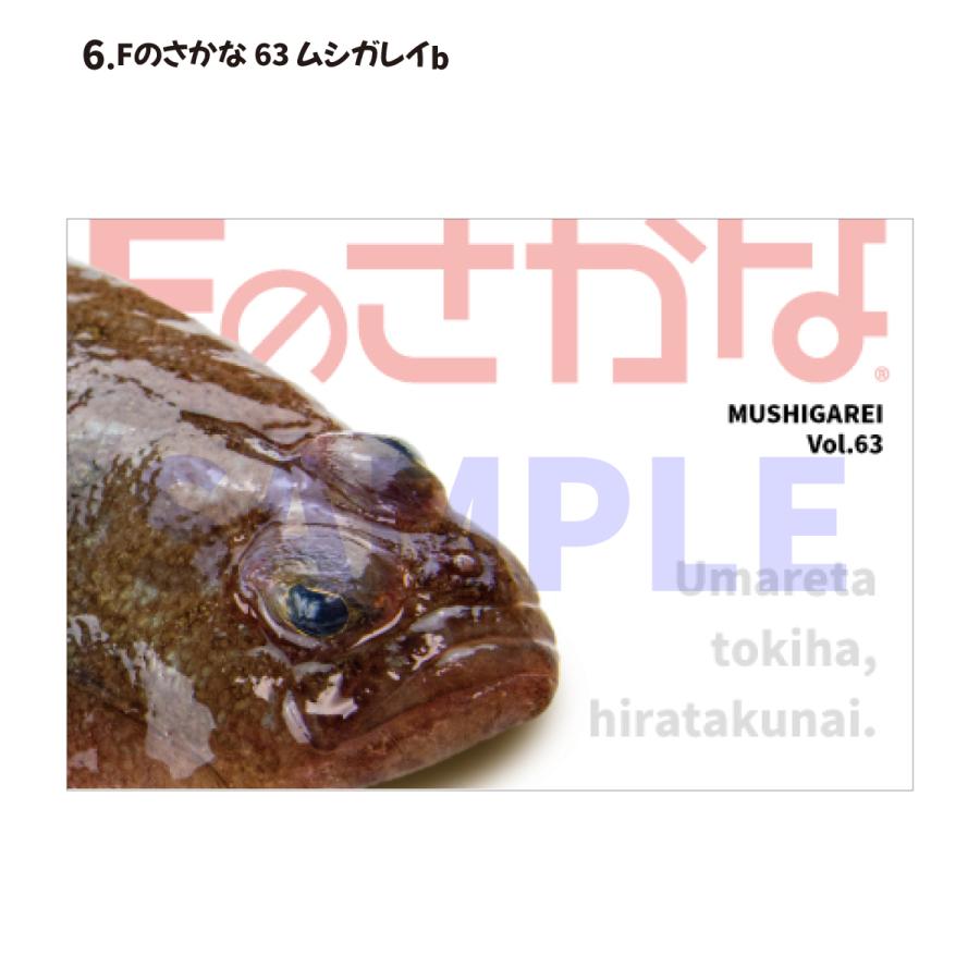 Fのさかなオリジナルポストカード |  | 06