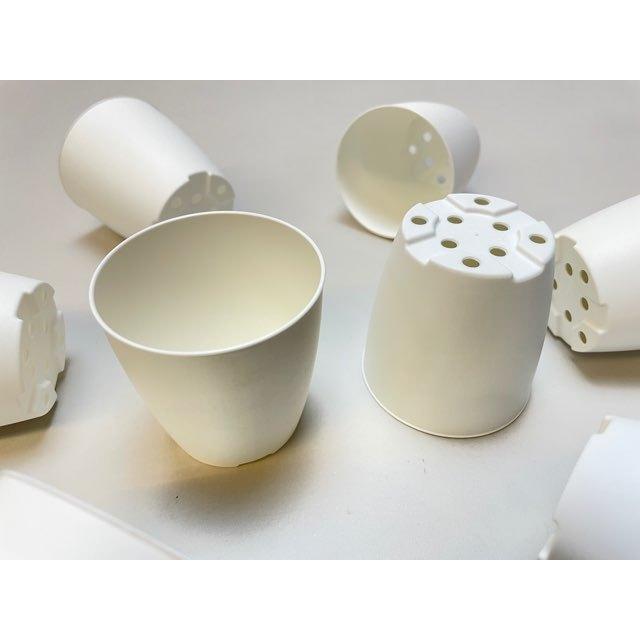 シンプルでマットなプラ鉢2号白-丸 1個売り[2GW] : フラワーショップ