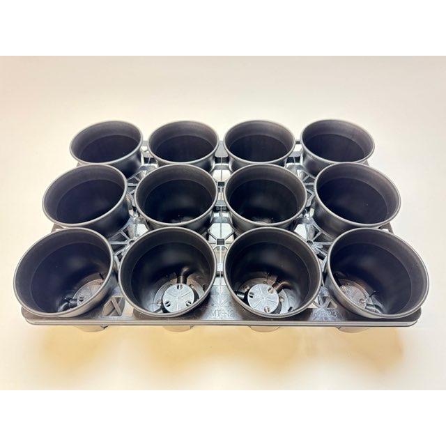 10.5cmポットや3.5号鉢用丸型枠トレイ：3×4=12鉢用＋厚手のプラ鉢