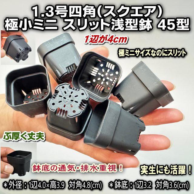 黒＊1.3号四角(一辺4cmスリット鉢で最小スクエア)極小ミニスリット浅型