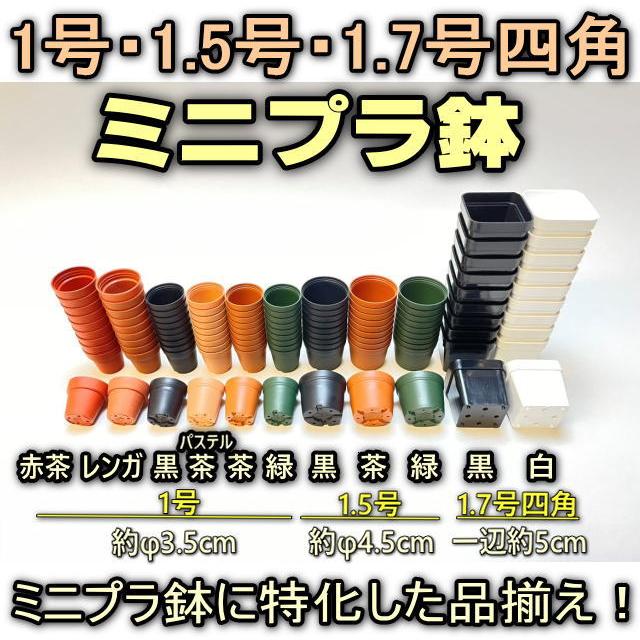 豊年べこ　ブラック　1号サイズ 1.5号プラ鉢-黒 超ミニサイズ 1個売り[1-7B] : フラワーショップ江口