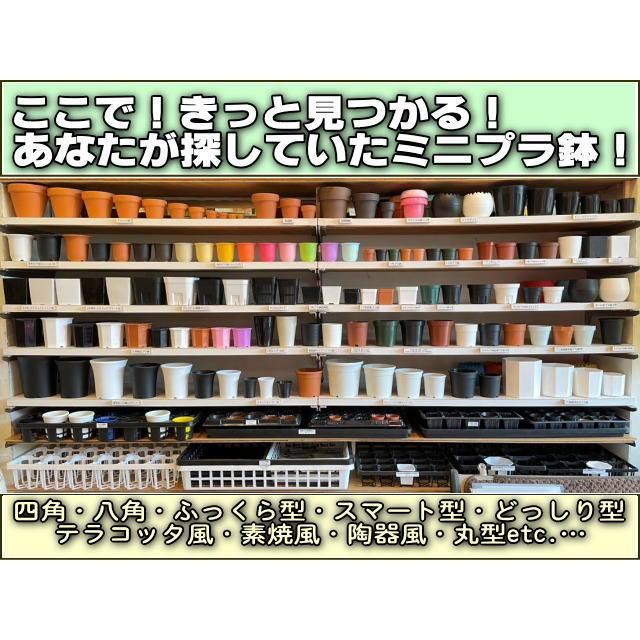 1.5号プラ鉢-茶 超ミニサイズ 1個売り[1-7B] : フラワーショップ江口