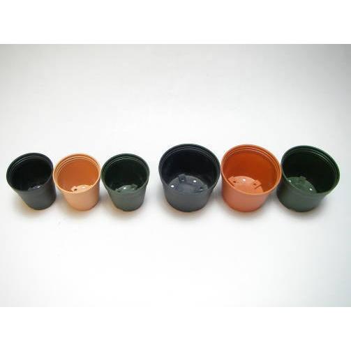 1.5号プラ鉢-茶 超ミニサイズ 1個売り[1-7B] : フラワーショップ江口