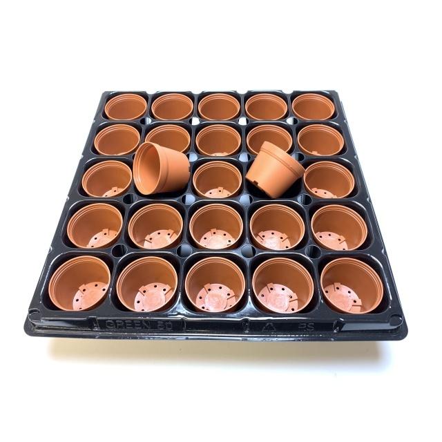 1.5号プラ鉢-茶 超ミニサイズ 1個売り[1-7B] : フラワーショップ江口
