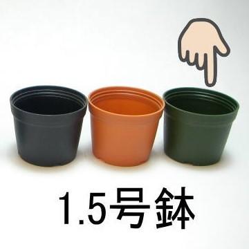 1.5号プラ鉢-緑 超ミニサイズ 1個売り[1-7B] : フラワーショップ江口