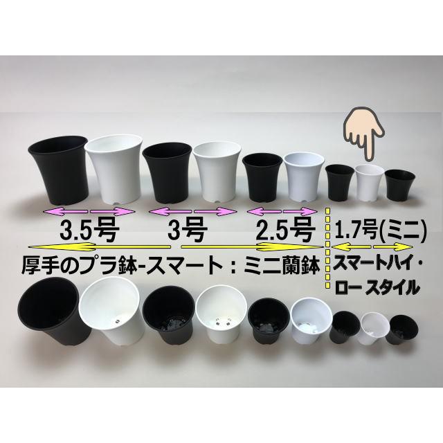 1.7号プラ鉢ぴったり整理トレイ-薄(ソフト)＋スマートハイスタイル1.7