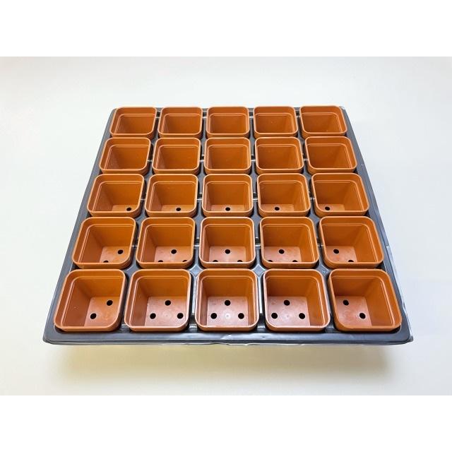 1.7号プラ鉢ぴったり整理トレイ-薄(ソフト)＋1.7号四角プラ鉢-茶