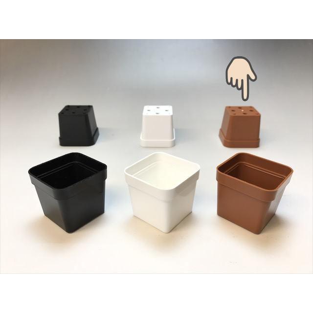 1.7号プラ鉢ぴったり整理トレイ-薄(ソフト)＋1.7号四角プラ鉢-茶