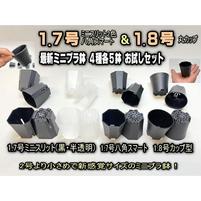 新感覚ミニサイズ＊1.7号(ミニスリット2色・八角スマート)＋1.8号(丸