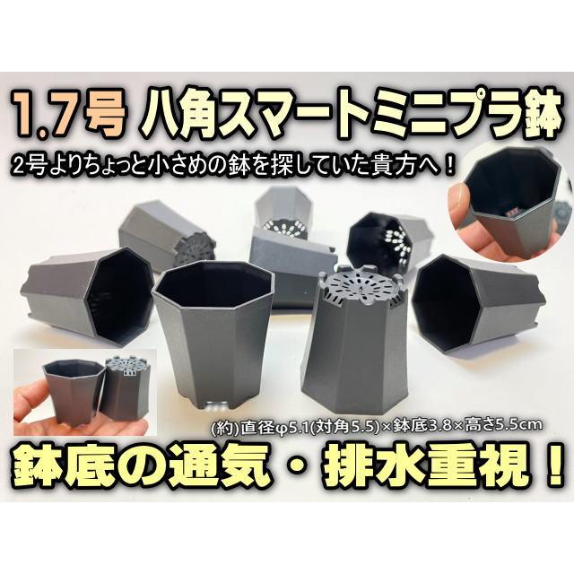 M1号 ミニサイズ5体 新感覚ミニサイズ＊1.7号(ミニスリット2色・八角スマート)＋1.8号(丸