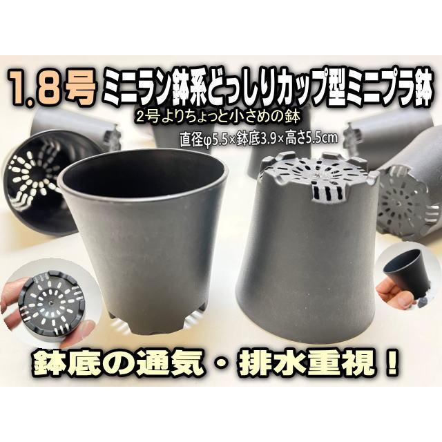 M1号 ミニサイズ5体 ソフビ M1号 ブルマァク復刻 世紀の大怪獣シリーズ ミニラ 蓄光 : 御宅