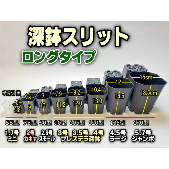 1.7号ミニスリット深鉢55型-黒☆(スリット鉢)☆高機能ミニプラ鉢-1個