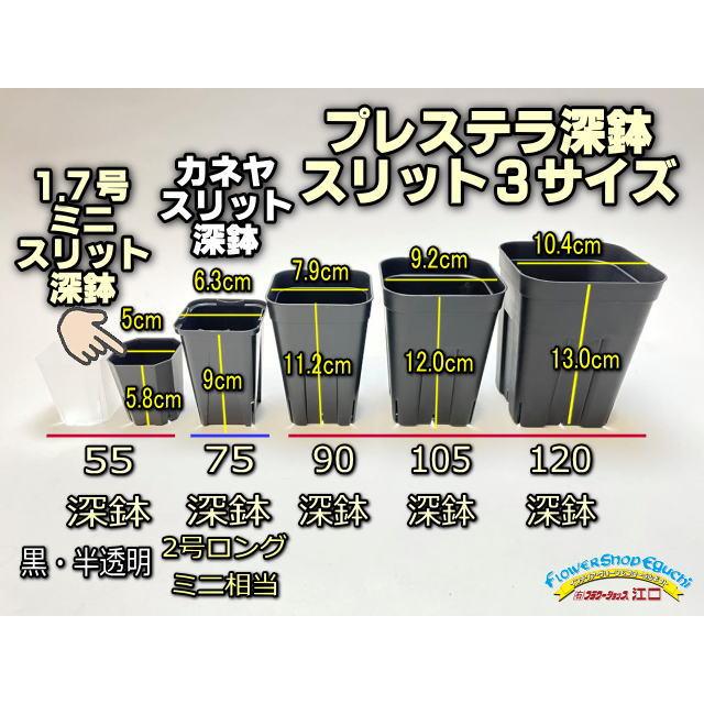 1.7号ミニスリット深鉢55-黒☆(スリット鉢)☆高機能ミニプラ鉢＊1ミリ