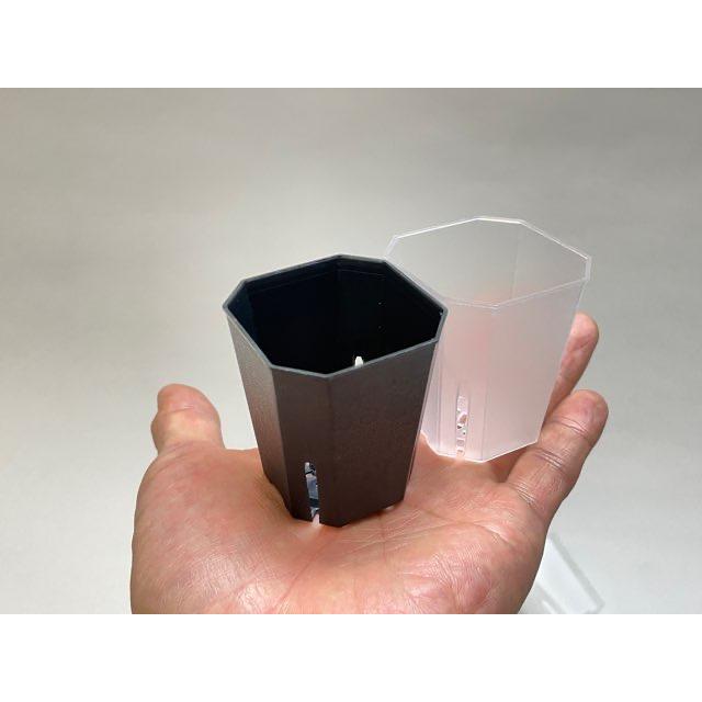 お引き取り限定！【プレステラ、プレステラ深鉢、スリット鉢、ミニ蘭鉢】オマケ付き！ 1.7号ミニスリット深鉢55-半透明クリアー☆(スリットポット/スリット鉢