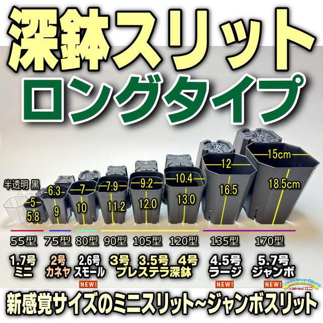 1.7号ミニスリット深鉢55-半透明クリアー☆(スリットポット/スリット鉢