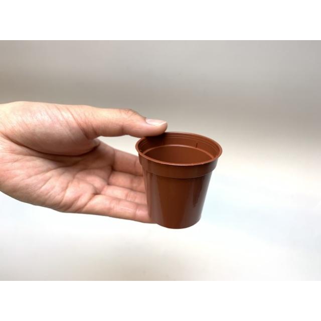 1.8号プラ鉢スマート型-ミニサイズ【茶】1個売り[1-7B] : フラワー