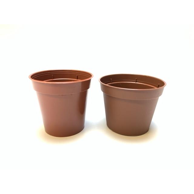 1.8号プラ鉢スマート型-ミニサイズ【茶】1個売り[1-7B] : フラワー