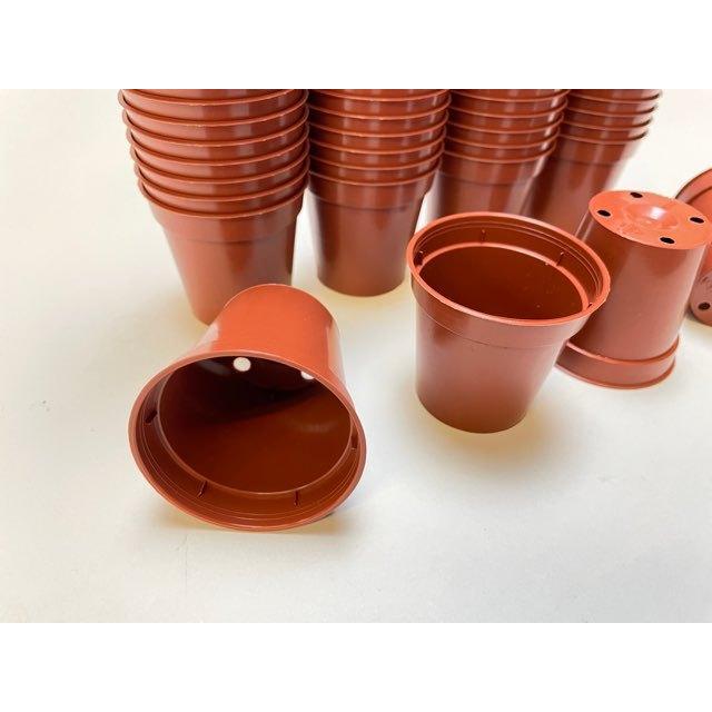 1.8号プラ鉢スマート型-ミニサイズ【茶】1個売り[1-7B] : フラワー