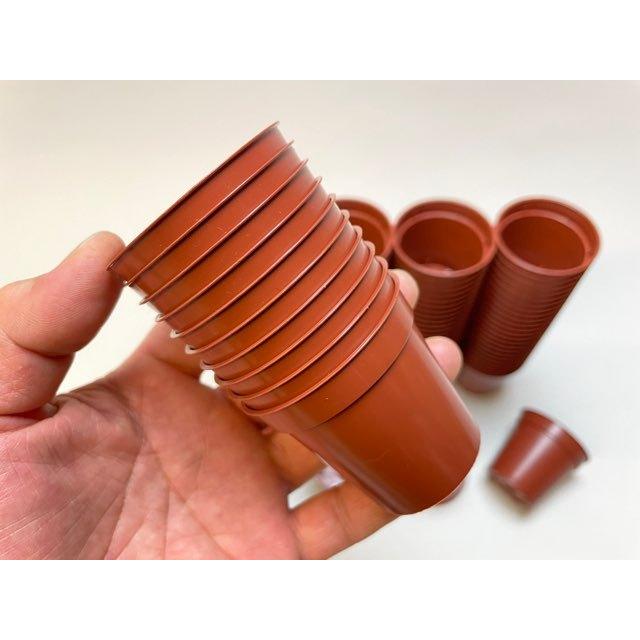 1.8号プラ鉢スマート型-ミニサイズ【茶】1個売り[1-7B] : フラワー