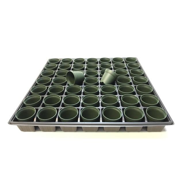 1号プラ鉢ぴったり整理トレイ：浅型(3.3cm)-薄(ソフト)：7×7=49