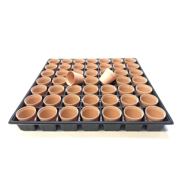 1号プラ鉢ぴったり整理トレイ：浅型(3.3cm)-薄(ソフト)：7×7=49鉢用